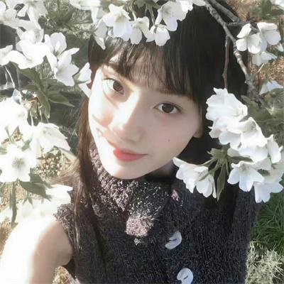 再婚进行时